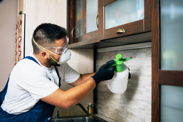 Best Affordable Pest Control Services  in Hazleton, PA