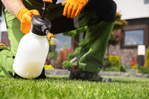 Best Commercial Pest Control Services  in Hazleton, PA