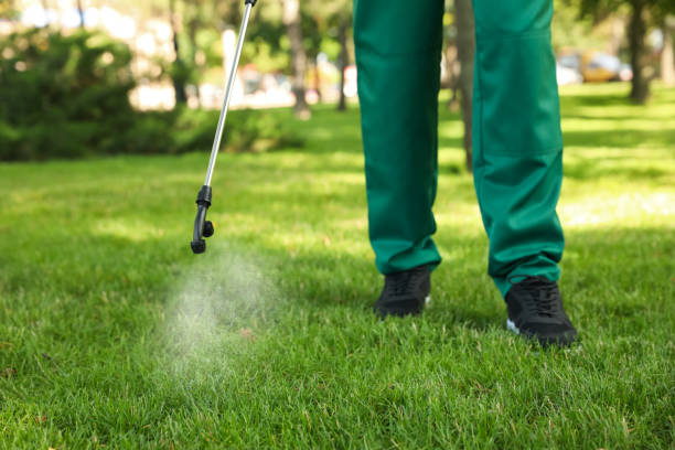Best Emergency Pest Control  in Hazleton, PA