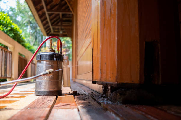 Best Best Pest Control Companies  in Hazleton, PA