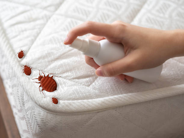 Best Pest Control Treatment  in Hazleton, PA