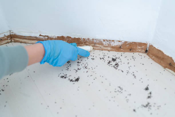 Best Exterminator Services  in Hazleton, PA